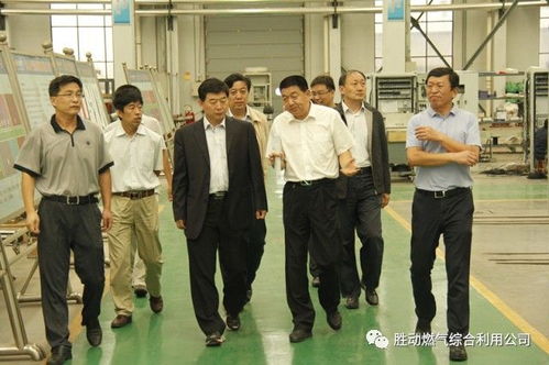 國家能源局能源節約和科技裝備司司長王思強調研勝動集團，共謀能源科技與服務創新發展